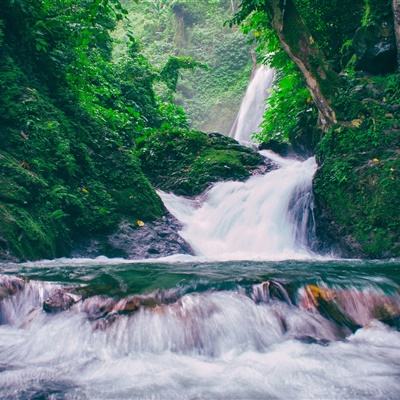中国式人生最新测试版下载